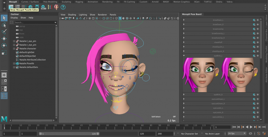 MocapX-programs like facerig