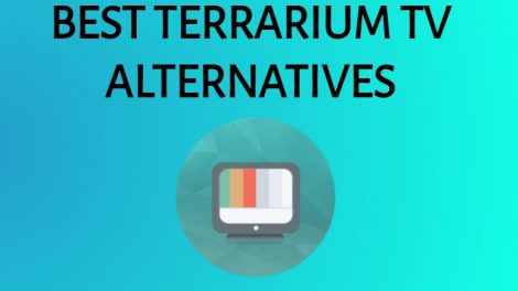 best terrarium tv