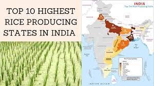 Largest Rice Producing States