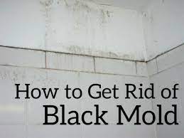 How To Get Rid Of Black Mold In Bathroom