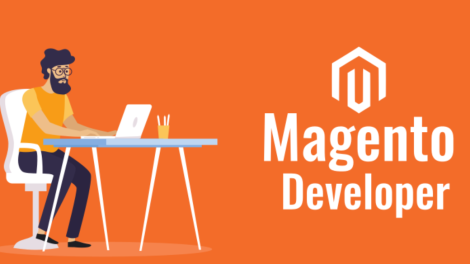 magneto developers