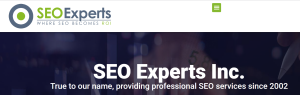 seo experts