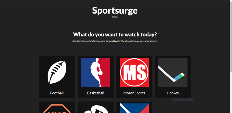 13. The Sportsurge