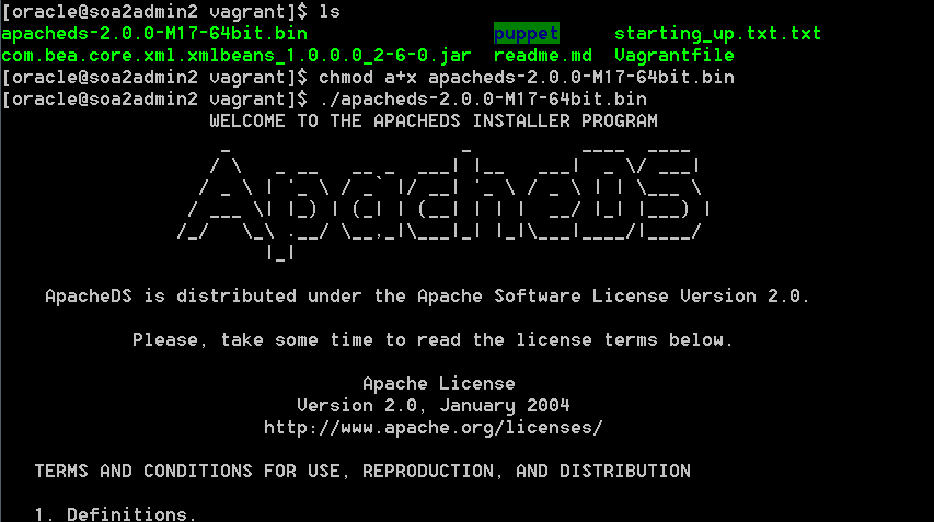 ApacheDS