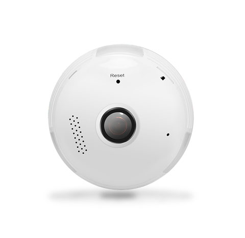 GWELL PANORAMIC CAMERAS