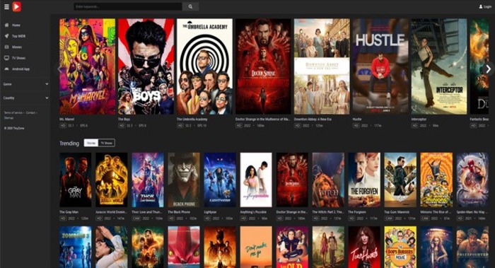20+ Best Tinyzone Alternatives to Seamless Streaming of Movies