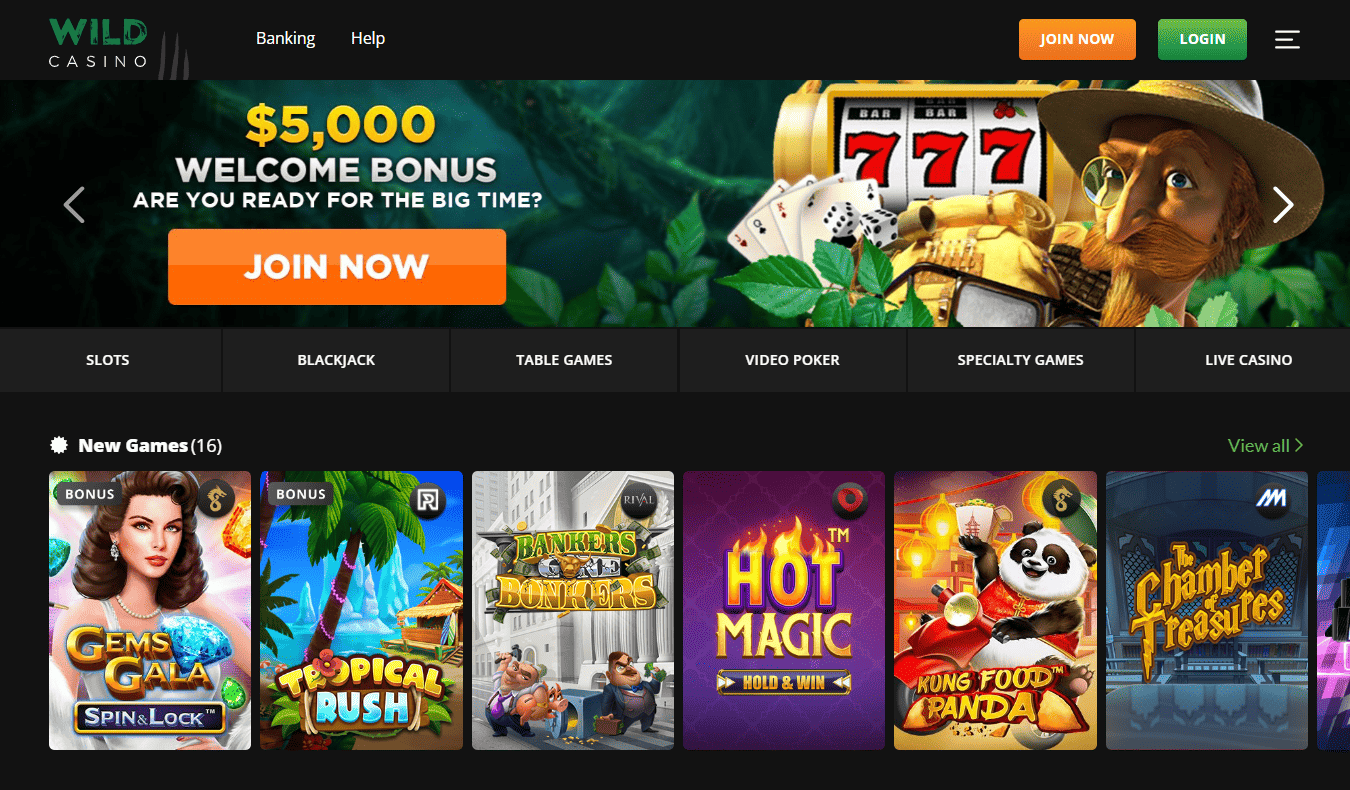 4. WildCasino: The Best Casino Like EveryGame