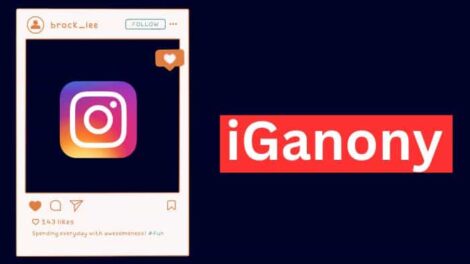 Top 27 IGANONY Alternatives: Best Instagram Story Viewer Tools