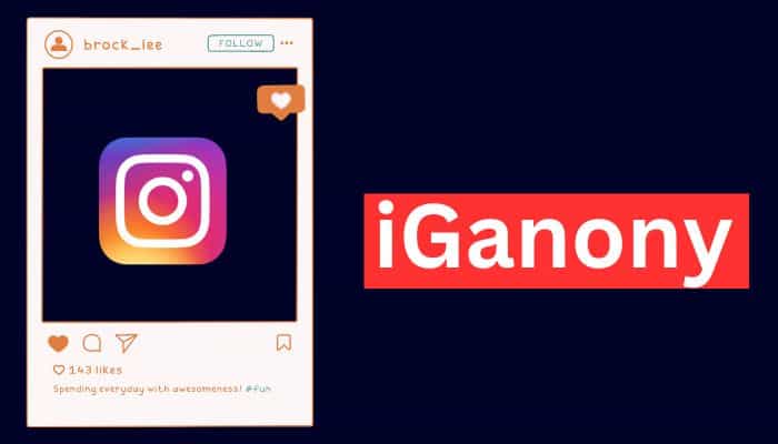 Top 27 IGANONY Alternatives: Best Instagram Story Viewer Tools