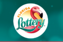 what to do if you win the lottery
